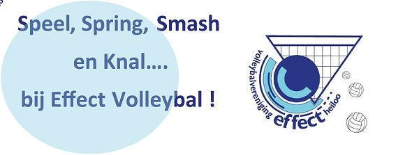 Logo Effect Heiloo