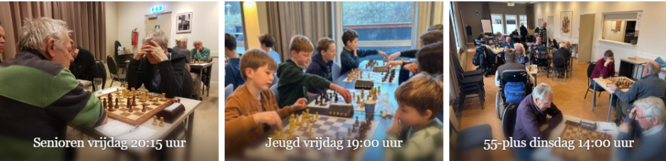 Logo Schaakvereniging Castricum